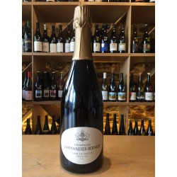 Larmandier-Bernier - Champagne  Terre de Vertus Premier Cru  2015 Non Dosé  Bulles