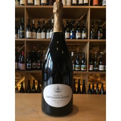 Larmandier-Bernier - Champagne  Terre de Vertus Premier Cru  2014 Non Dosé Magnum Bulles