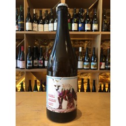Zoo Brew - Saison Abricot...