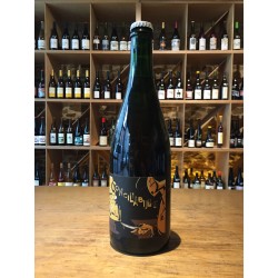 Pinto - VDF Pet Nat' "...