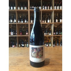 Les Lucioles - VDF Gamay...